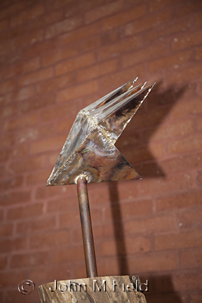 Flight Design